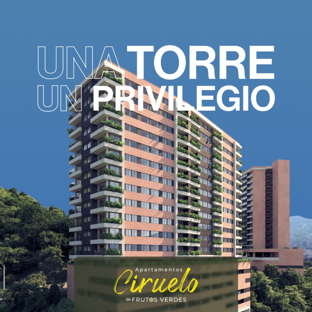 Ciruelo
